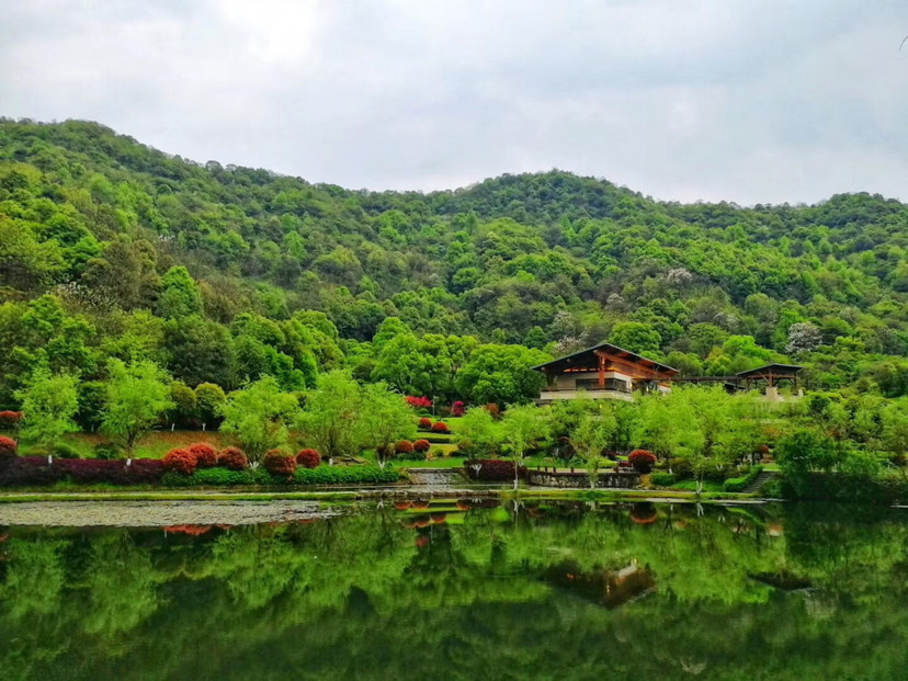 长沙桃花岭里水上清风,等你来
