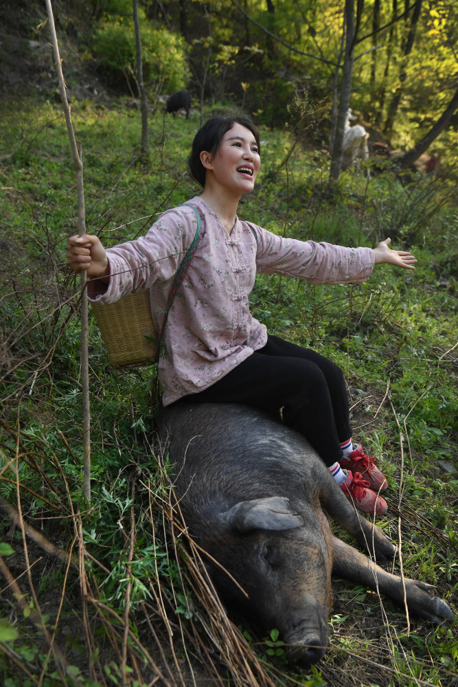 秦岭深处的90后美女猪倌