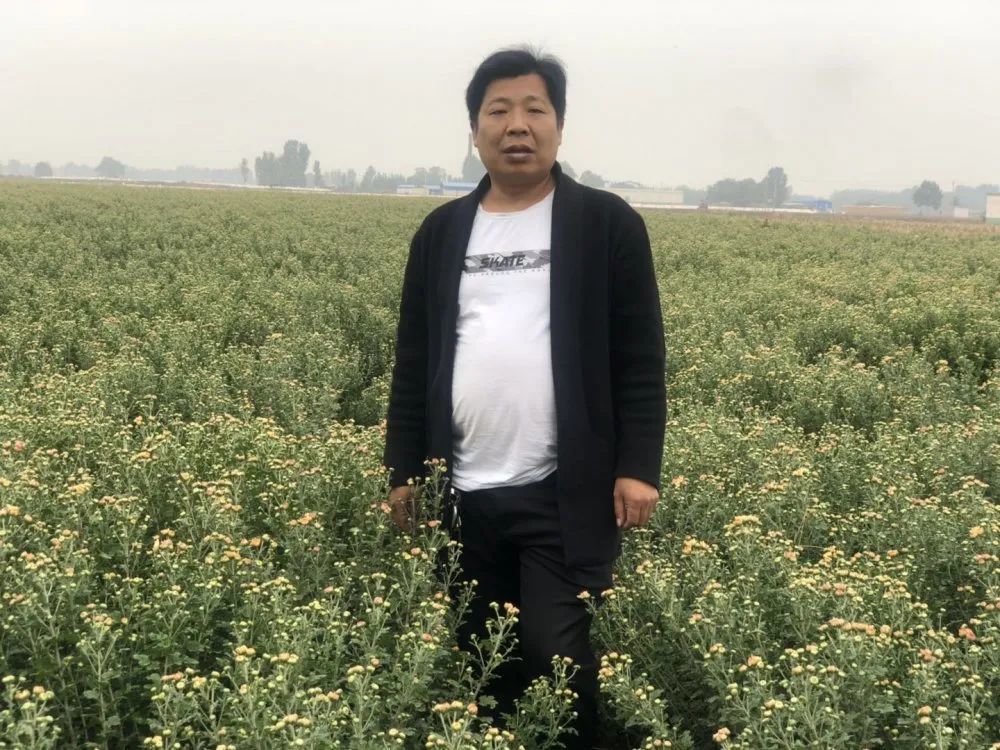 性传承人朱清山的亲传弟子,现任河南省青山药业股份有限公司业务经理