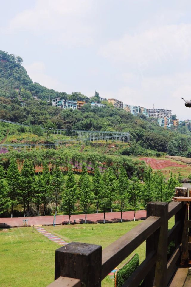 不负花期,来一场花期之旅吧!提前踩点花田酒地