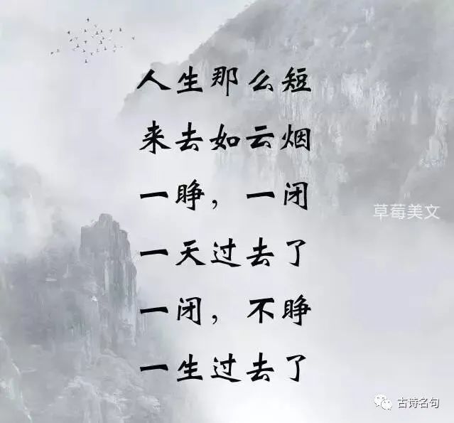 人生短短几十年,一睁一闭,一辈子,开开心心每一天