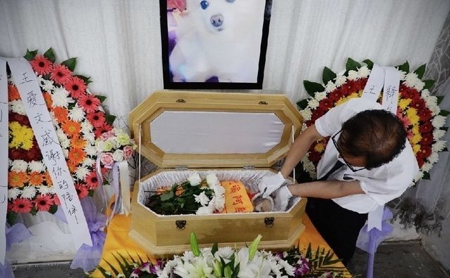 狗狗病死全家下跪痛哭守孝七天花费十五万为其举行最豪华葬礼