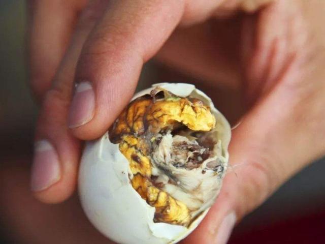 但是因为各种原因"胎死蛋中",主人为了不浪费就直接将死胎的鸡蛋拿去