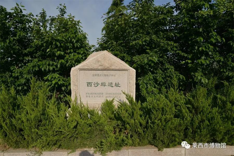 全国重点文物保护单位——西沙埠遗址省级文物保护单位——前保驾山党