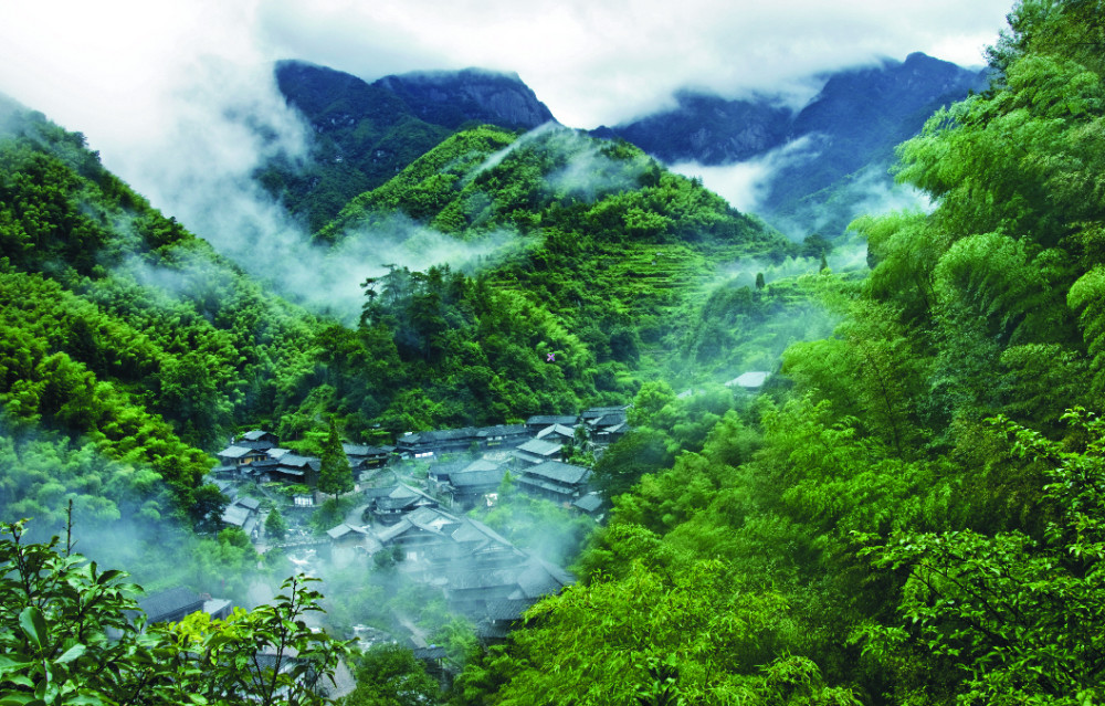 永嘉林坑深山隐居沿溪听水