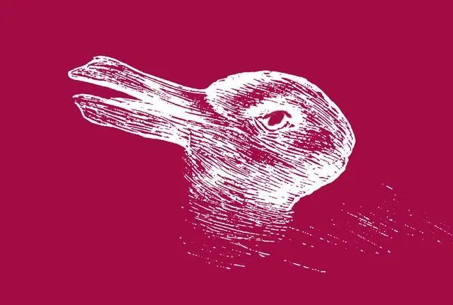 测心理:第一眼看到兔子还是鸭子?测出你的社交风格