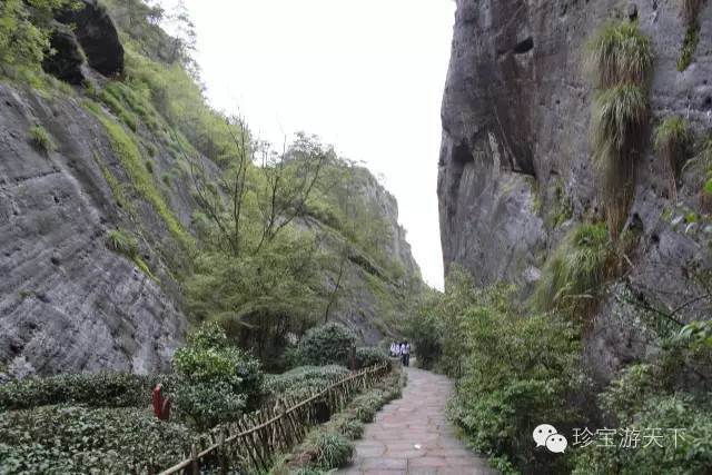 武夷山 大红袍及水帘洞 武夷岩茶 水帘洞景区 景区 武夷山 大红袍 水帘洞