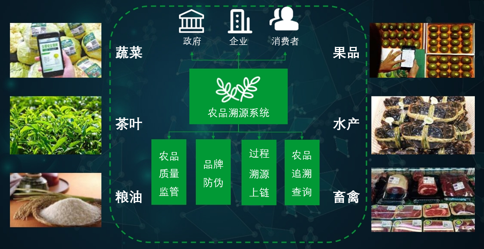 系統全面農產品信息免費獲取,每日僅限30人