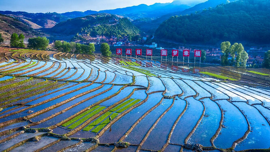延绵不断的普格高山梯田进入最美观赏季