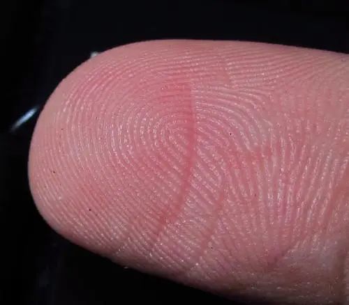 俗语"一螺穷,二螺富,三螺四螺开当铺"指纹看运势,真有这么准?