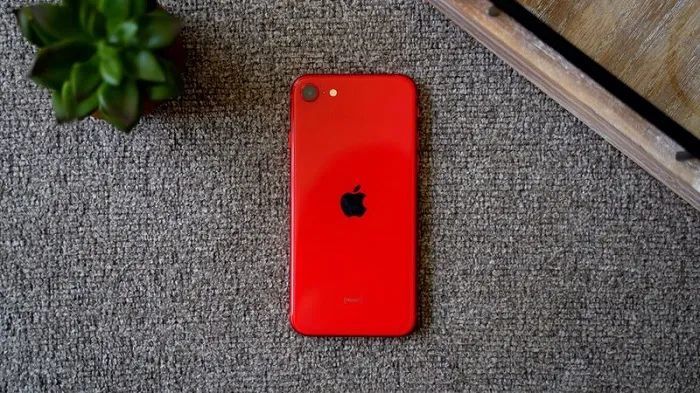 2020款iphone se照相评测:拍照表现优于iphone 8
