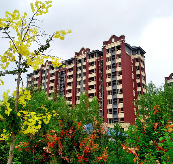 天洲集团三盘20万㎡同时交房