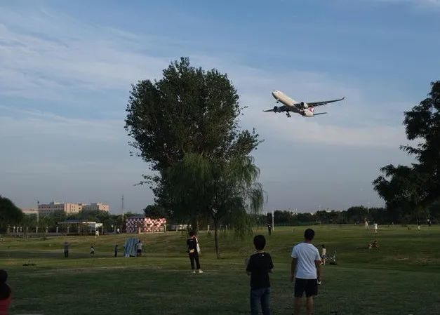 休闲放松的好地方 京郊顺义有一个可以遛娃 野餐 看大灰机的公园 腾讯新闻