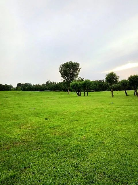 京郊順義有一個可以遛娃,野餐,看大灰機的公園!