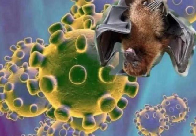 新冠病毒来源接近真相?中美科学家联合出手,已经锁定研究方向