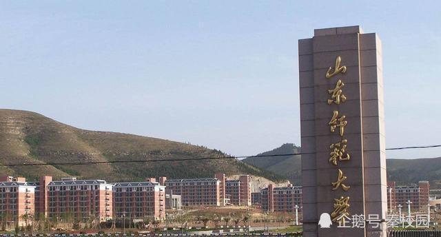 山东最好三本排名_2019山东综合类大学排及三本学校有哪些(2)