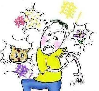 鼻塞打喷嚏如何区分感冒还是花粉过敏 花粉过敏 鼻塞 花粉 季节性 过敏