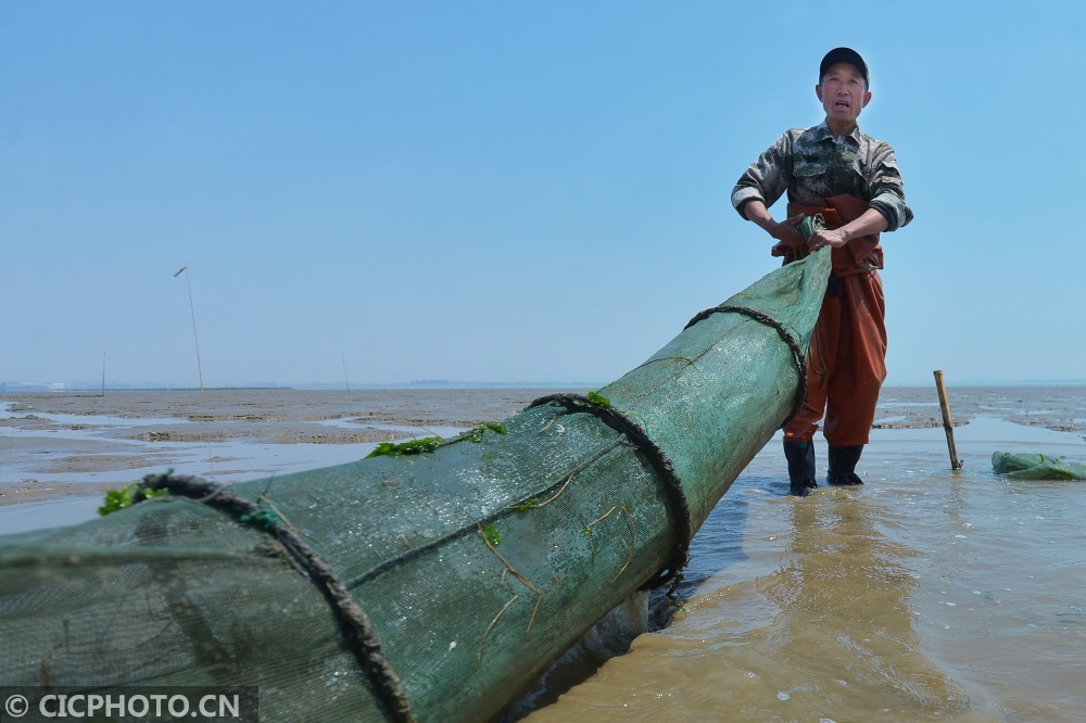 春捕青岛四小海鲜之蚝艮鱼
