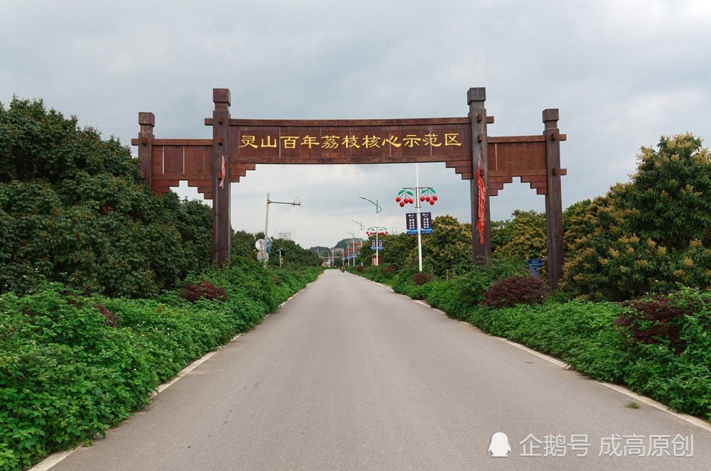 5g时代,酒香再也不怕巷子深,好东西有了飞向广阔天地的翅膀