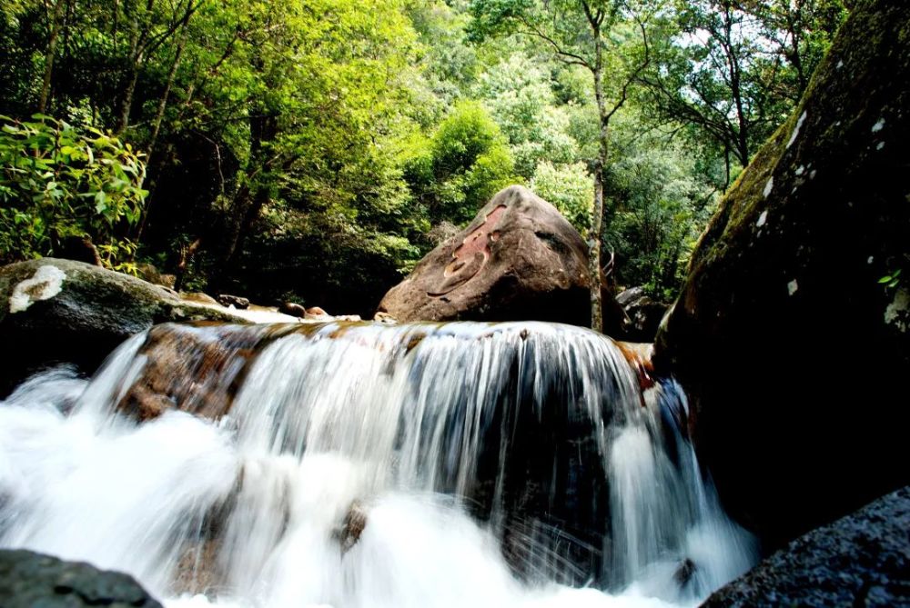 顺昌华阳山:传闻山中有"仙灵"之气,来到这里的人会变得"佛系"?