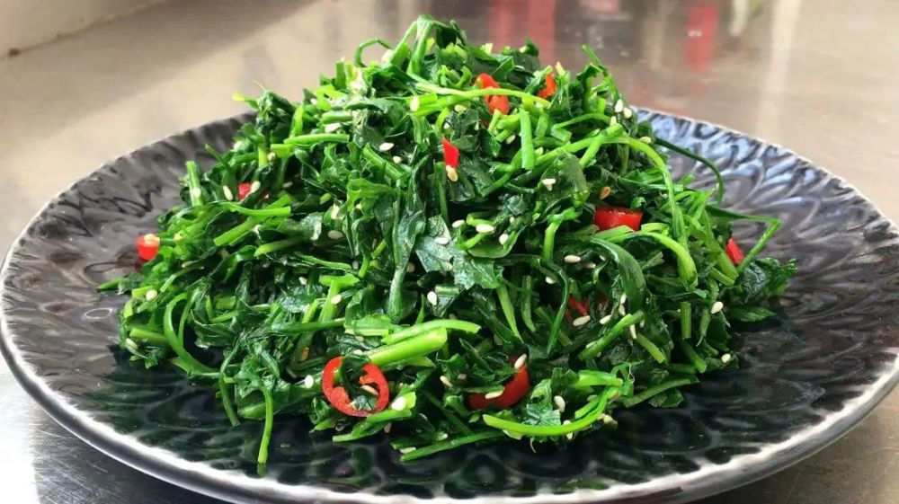 一路好玩抢先看!