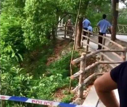 湖南衡阳一女子在公园内割脉自杀身亡 腾讯新闻