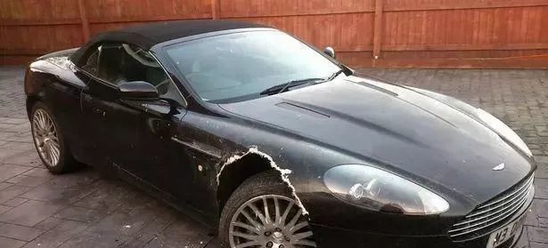 百万豪车被狗咬得稀巴烂,主人气炸想把狗送走:不用送,我自己走