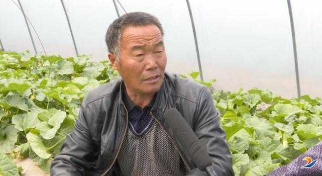 郸城县秋渠乡发展高效农业种植带动群众增收致富