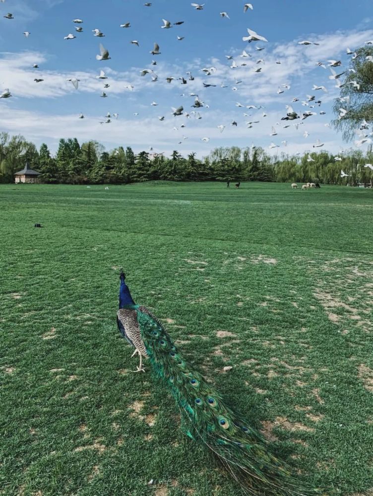 你的五一出行计划 我们帮你计划好了 腾讯新闻