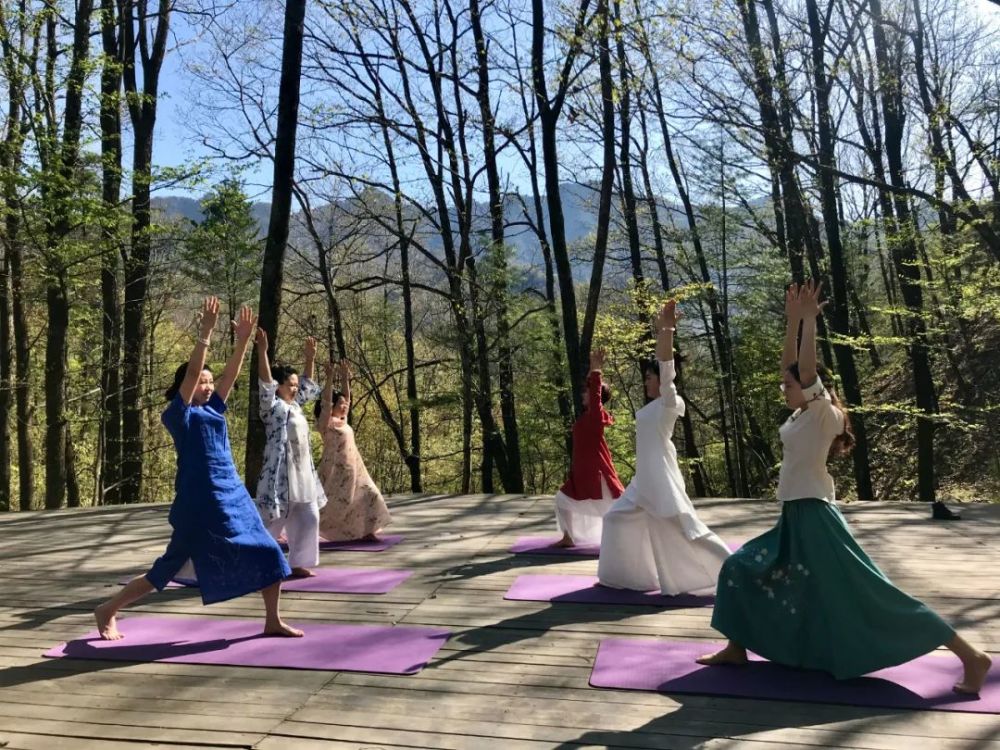 森林康养 在朱雀国家森林公园开启健康养生新模式