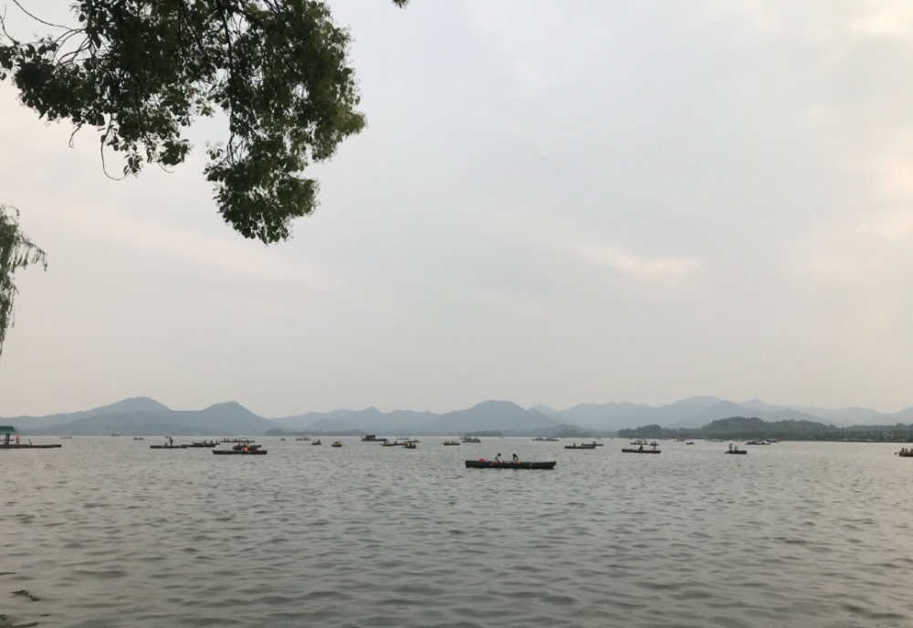 可以直观地感受到四季的变化;立刻衔接了和断桥一同享誉为"西湖三怪"