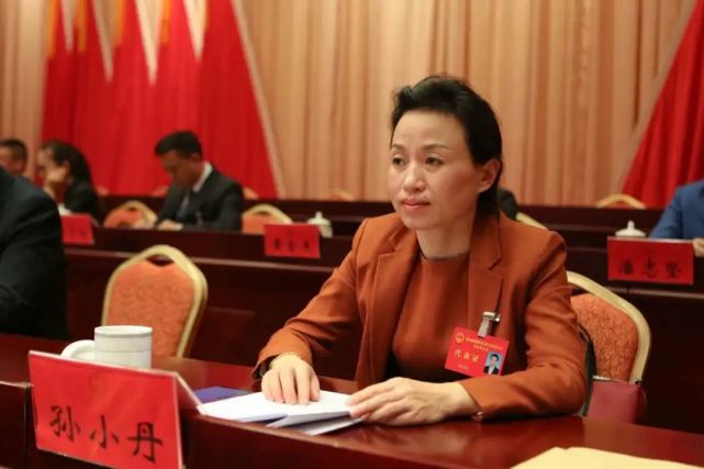 泽雅镇|妇联|瓯海区|政府工作报告