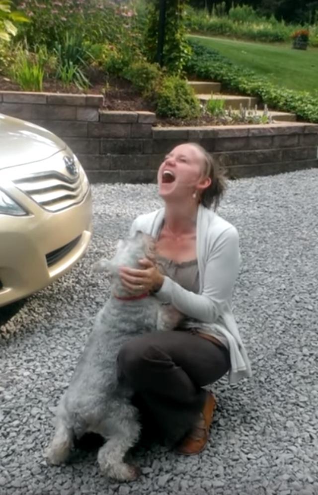 2年不见,狗狗看到主人激动得晕倒,四条腿不停抽搐