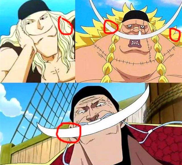 并且这个"二世"究竟是不是白胡子的亲生儿子也不一定,就那个miss巴金