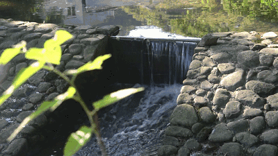大晴天翻开四月最后一页日历, 暮春的最后一朵小花在心里绽放, 气温