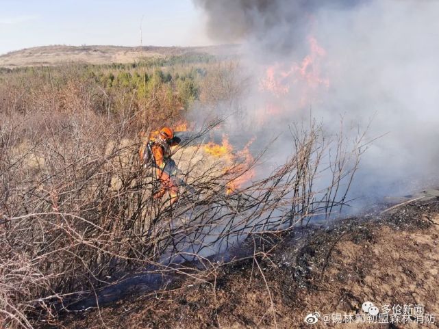 我縣森林公安局破獲一起失火案|多倫縣|草原|森林公安|森林