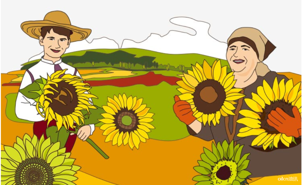 快问快答我国葵花籽油行业现状和趋势