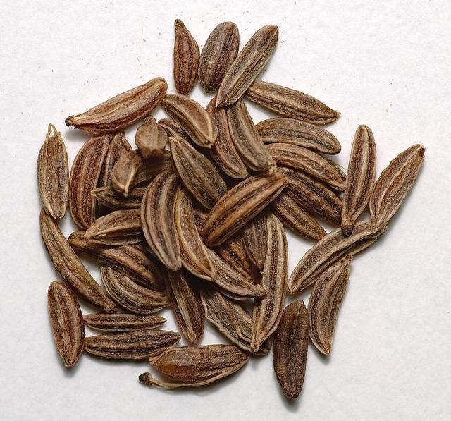 卤味配方实战技巧两款茴香脑都极高的卤海鲜香料的用法