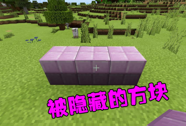 我的世界 基岩版冷知识 被mojang隐藏的方块 我的世界 基岩 Mojang