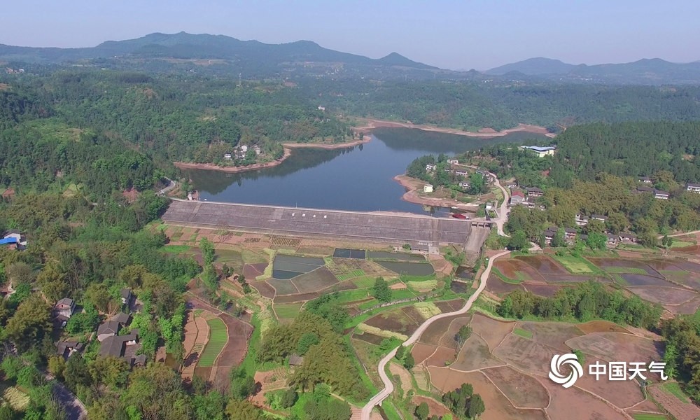 四川广安天晴忙插秧田间绘就生机勃勃春耕图