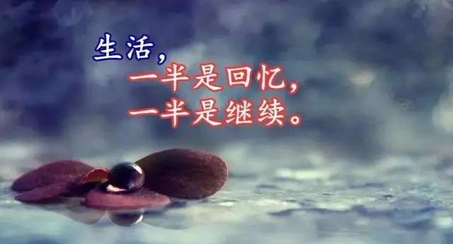 适合发朋友圈人生感悟哲理简短语录,句句说到心坎上