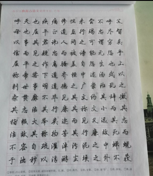 梦想蜕变21天打卡活动总结