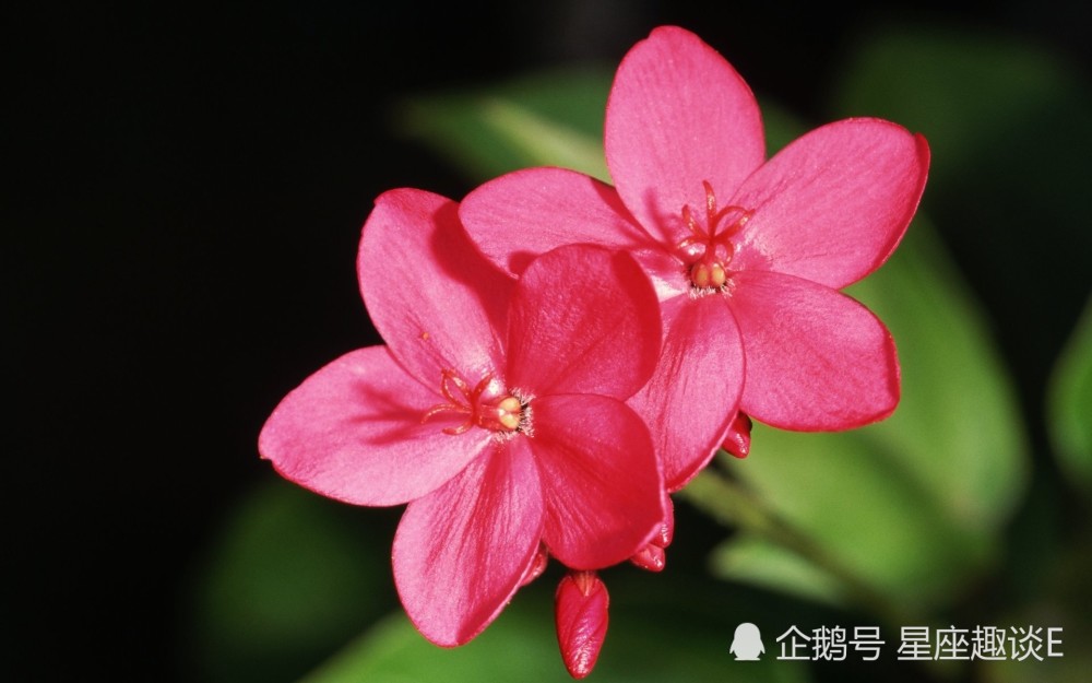 5月1日星座运势 白羊小心谨慎 天蝎心甘情愿 射手积极向上 腾讯新闻