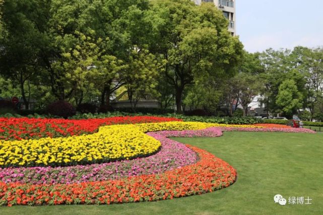 申城街头的花坛花境换"新装",用繁花点亮"五一"