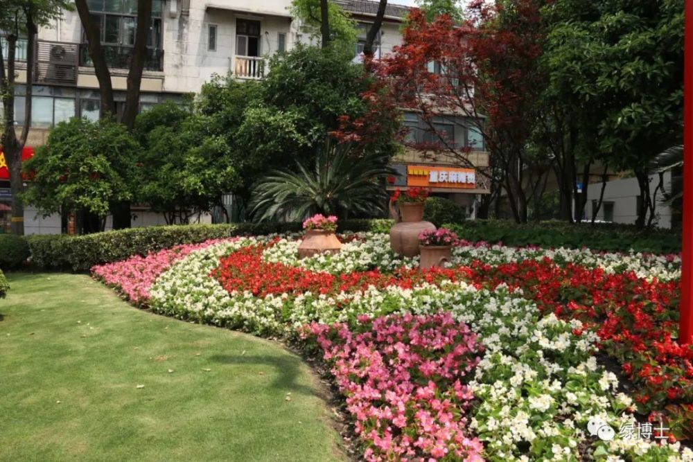 申城街头的花坛花境换新装用繁花点亮五一