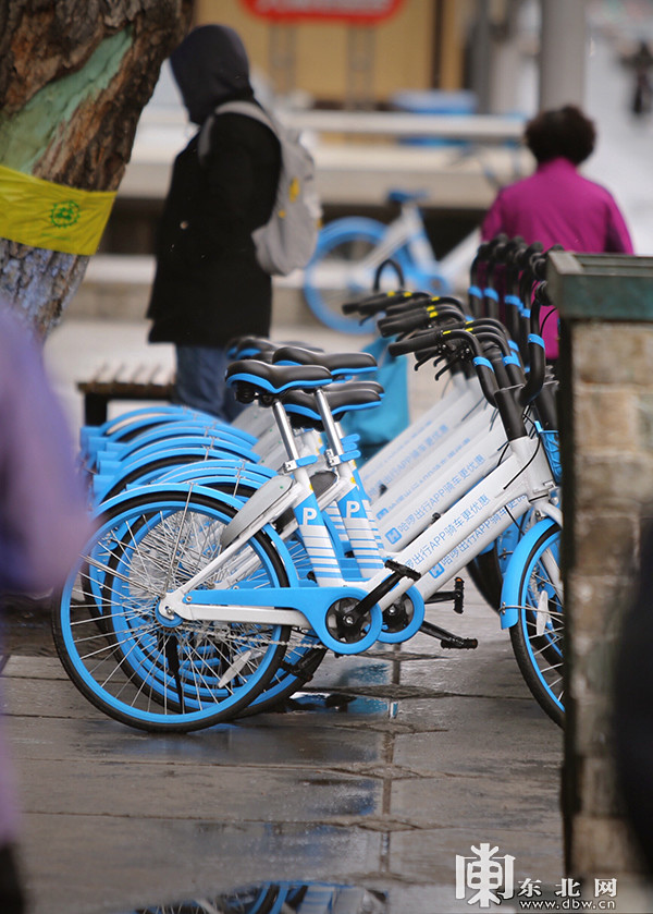 哈啰单车上的城市焕活3万辆小蓝车让哈尔滨加速复苏