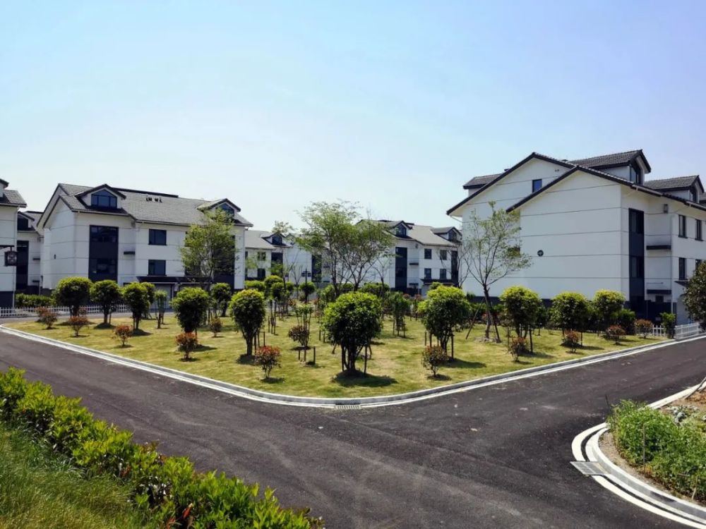 萧山这个村最后一批拆迁户分房,全部是联体排屋!网友:羡慕哭了