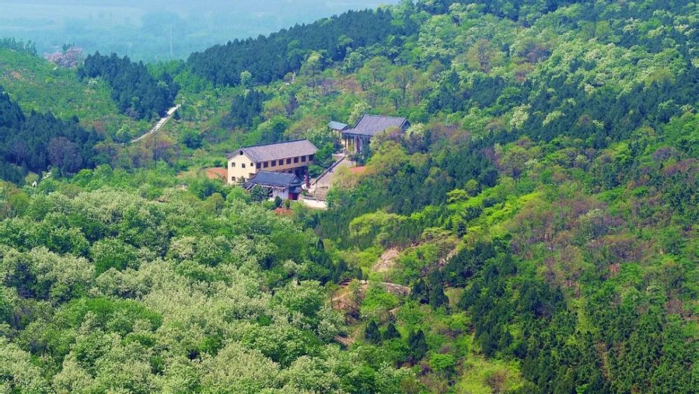 美邳州艾山槐花香雪似海