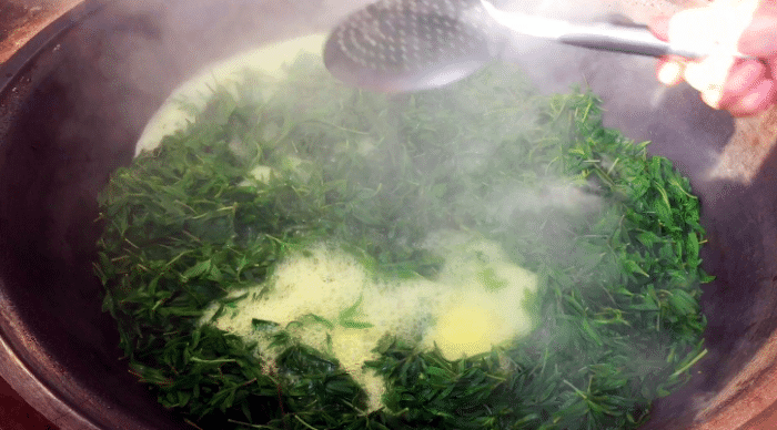 其实春天里的野菜有很多种,像苦菜,布布丁,榆钱等等,都是季节性非常强