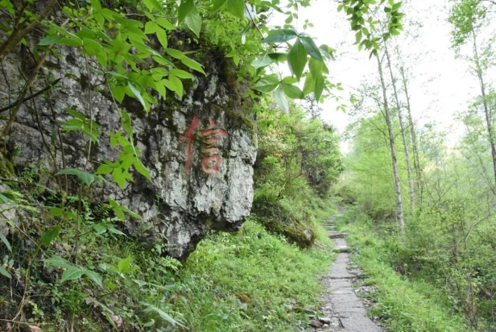 历史上,此道沿村文风昌盛,除宋初开族之祖胡延官至绩溪县令外,仅宋代